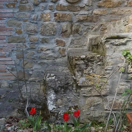 Ferienvilla 'la Speranza' Mit Privatem Garten By Interhome Casa de Férias Città di Castello