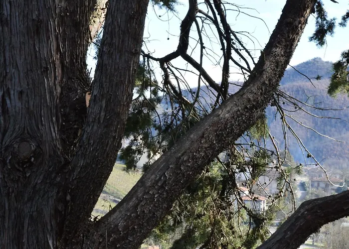 Prázdninový dům Ferienvilla 'la Speranza' Mit Privatem Garten By Interhome Città di Castello