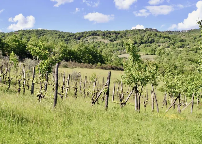 Prázdninový dům Ferienvilla 'la Speranza' Mit Privatem Garten By Interhome
