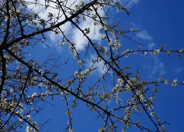 Ferienvilla 'la Speranza' Mit Privatem Garten By Interhome Prázdninový dům Città di Castello